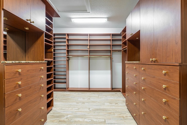 walk in closet with wood finished floors