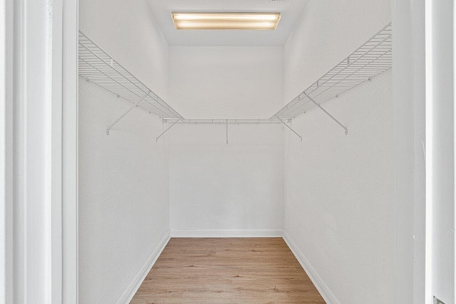spacious closet with light wood-type flooring