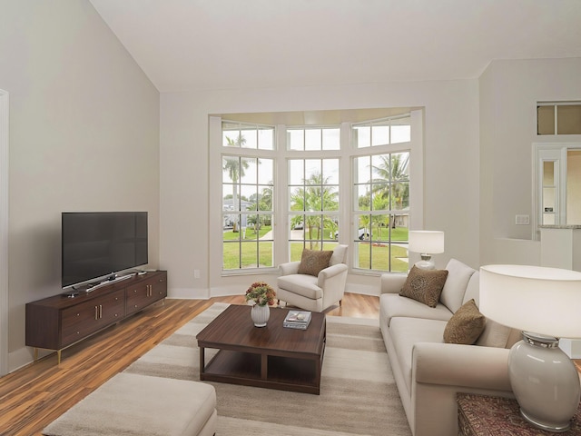 living room featuring wood finished floors