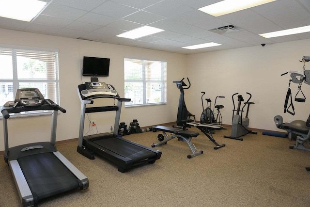 workout area with carpet floors, a drop ceiling, plenty of natural light, and visible vents