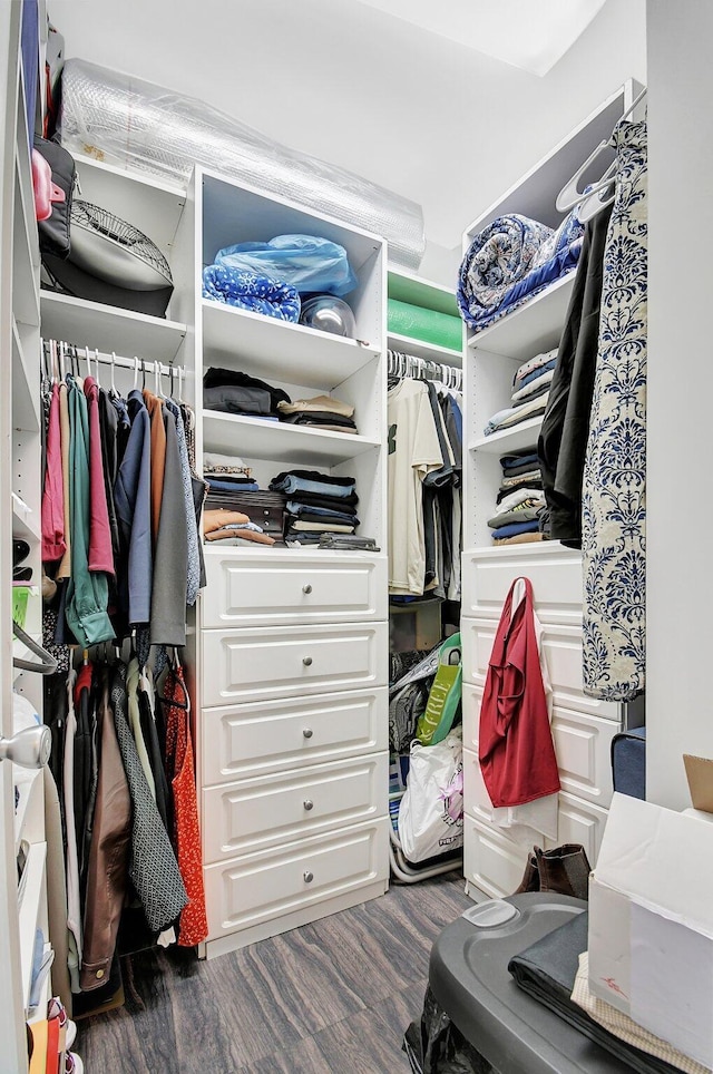 spacious closet with dark wood finished floors