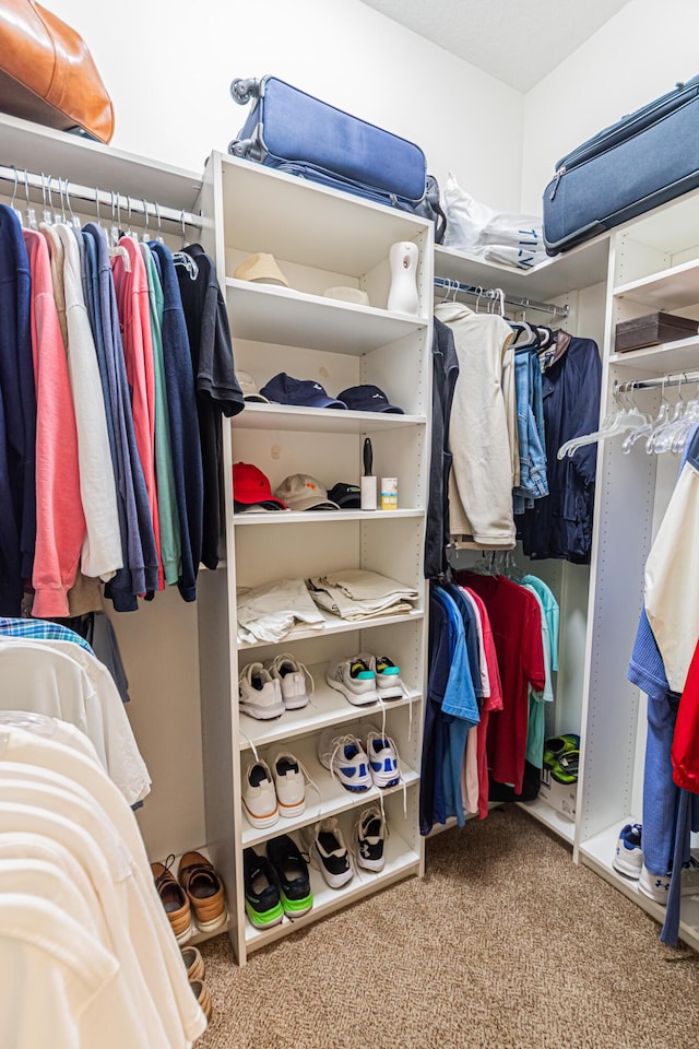 spacious closet with carpet flooring