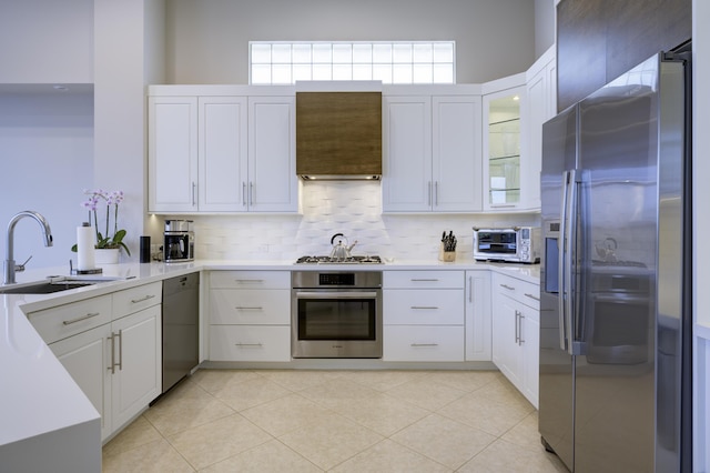 kitchen with stainless steel appliances, ventilation hood, a sink, and white cabinets