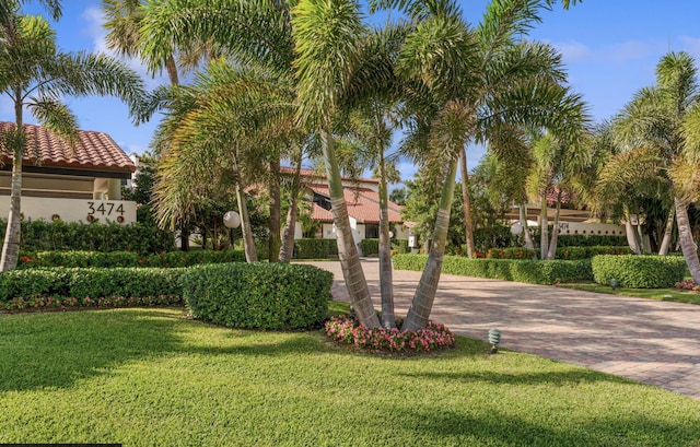 view of property's community with decorative driveway and a lawn