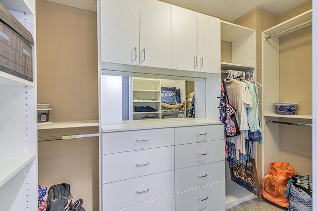 spacious closet featuring carpet floors