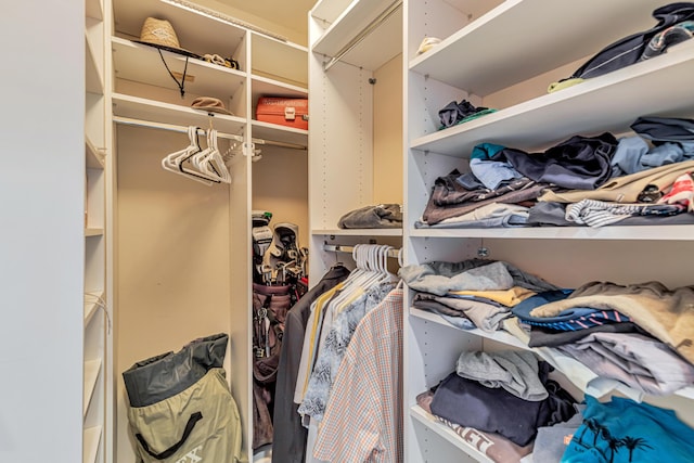 view of spacious closet