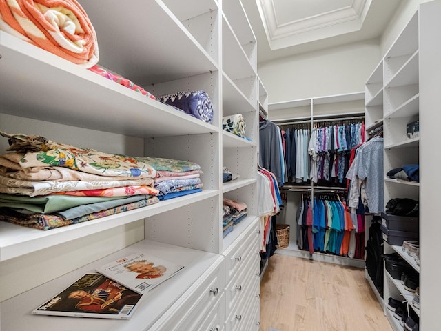 walk in closet featuring light wood-style flooring