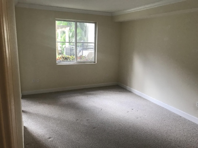 spare room with ornamental molding, carpet flooring, and baseboards