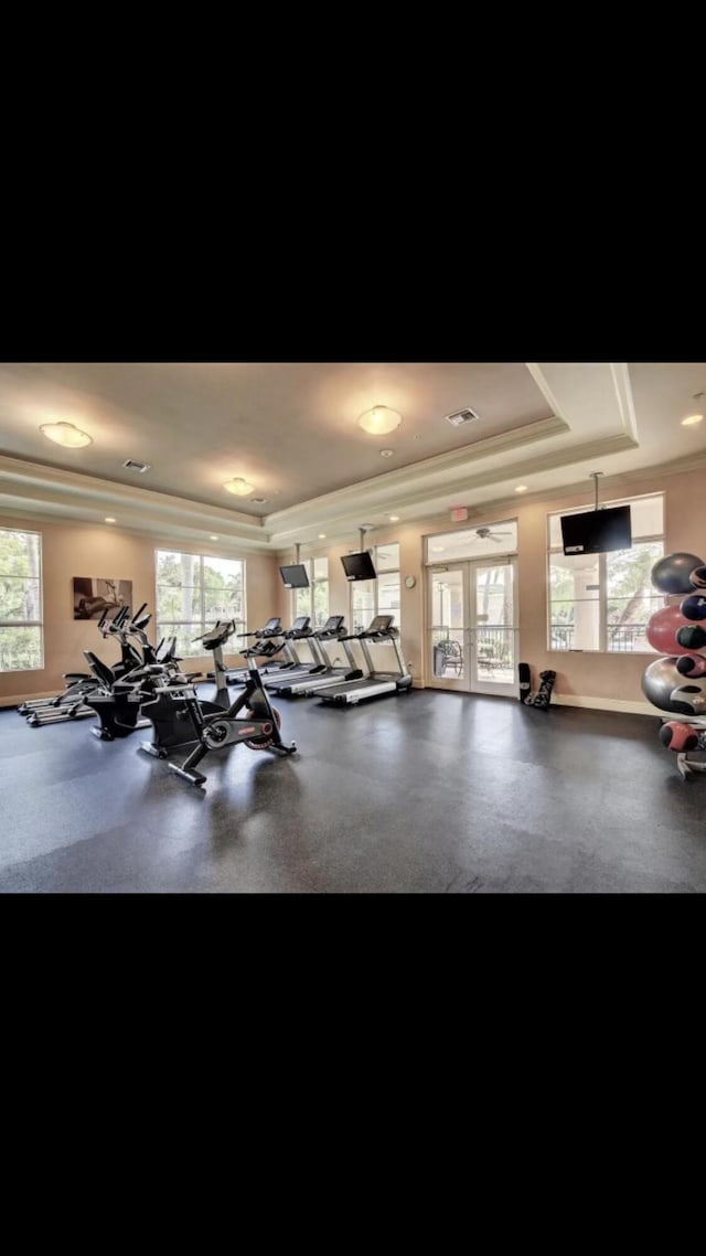 gym featuring ornamental molding, french doors, a tray ceiling, and a healthy amount of sunlight