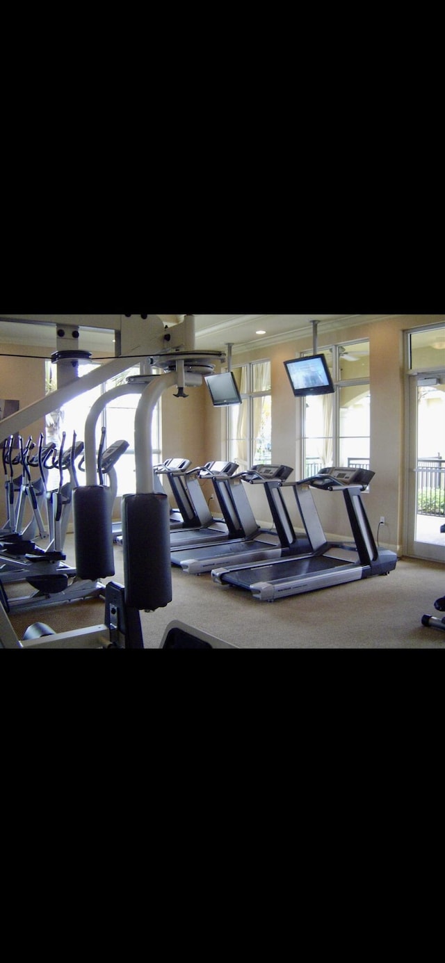 workout area featuring carpet