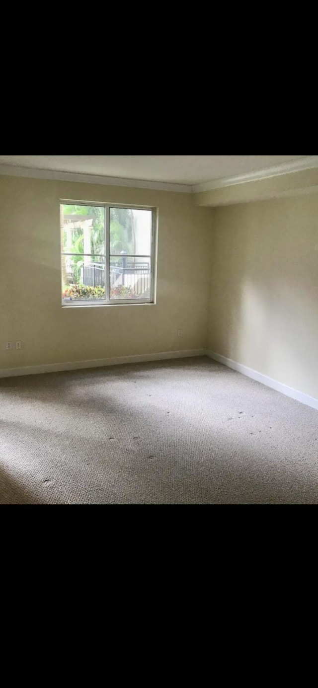 empty room with carpet floors and baseboards