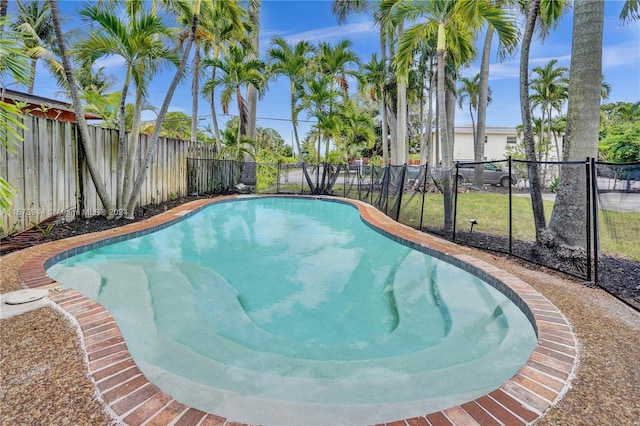 view of swimming pool with a fenced backyard