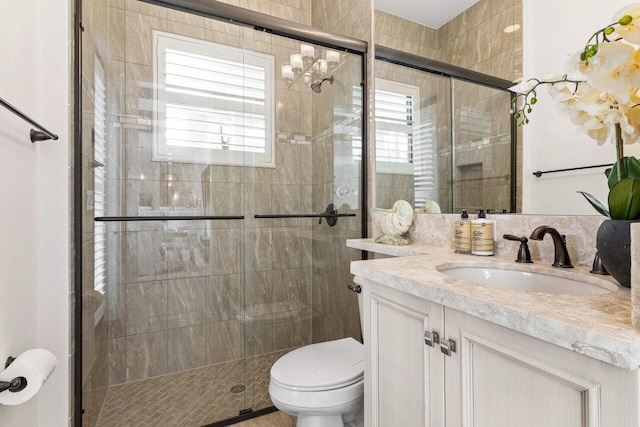 full bath featuring toilet, a shower stall, and vanity