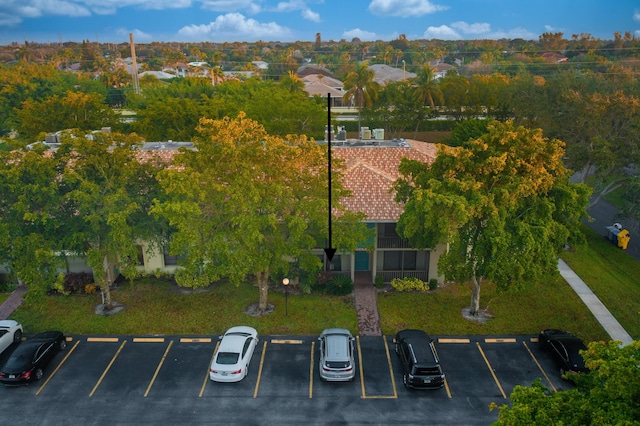 drone / aerial view