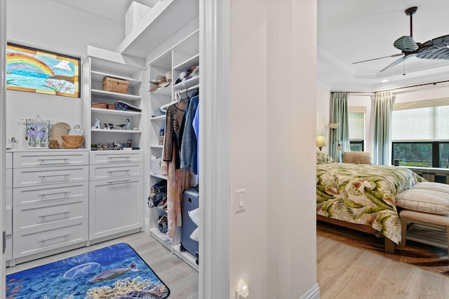 walk in closet with a raised ceiling, light wood-style flooring, and a ceiling fan