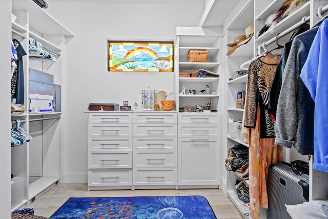 spacious closet featuring light wood-style floors