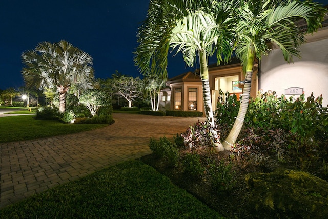 view of yard at night