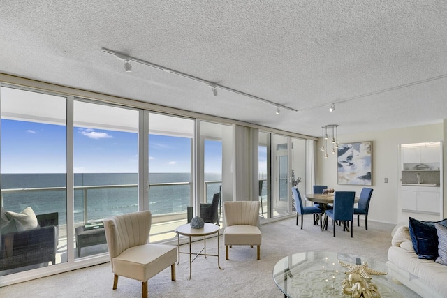 sunroom / solarium featuring a water view and rail lighting