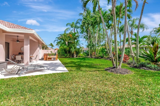 view of yard with a patio area and ceiling fan