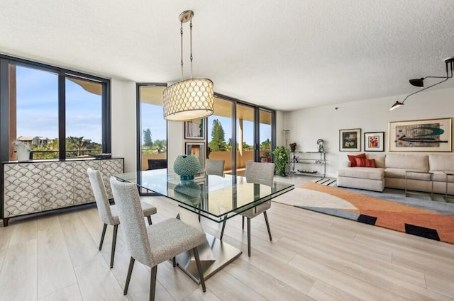 dining area featuring a wall of windows, plenty of natural light, light wood-style flooring, and a textured ceiling