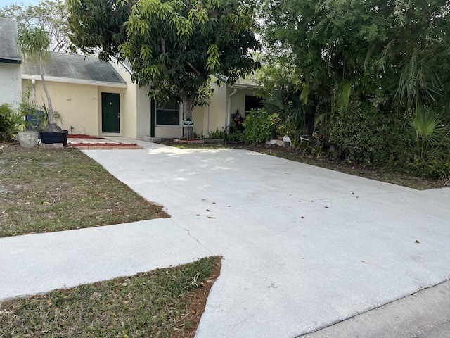 view of front of house featuring stucco siding and driveway