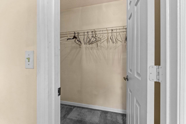 spacious closet featuring carpet floors