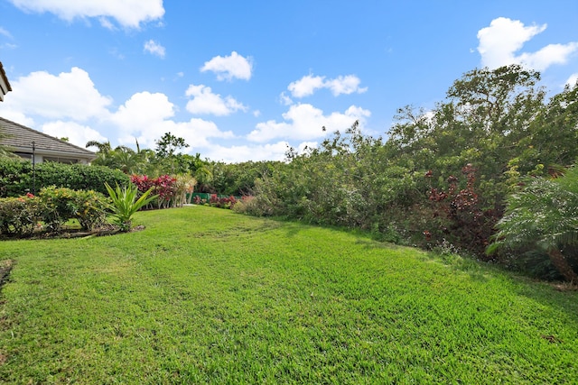 3190 SE Carrick Green Ct, Port Saint Lucie, FL 34952 - view of grassy yard