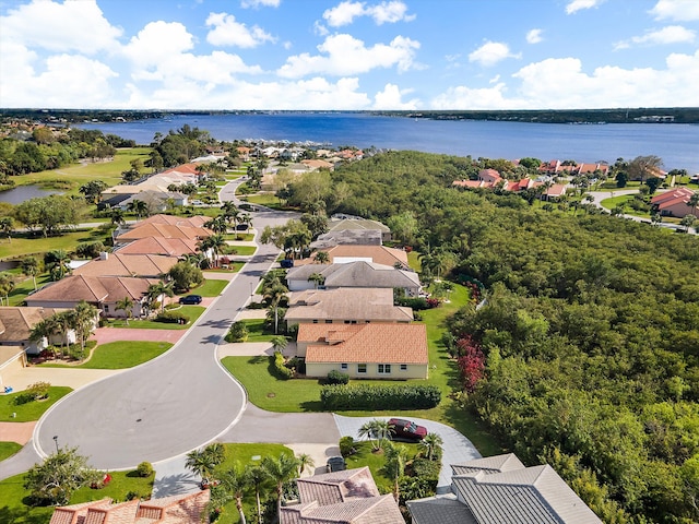3190 SE Carrick Green Ct, Port Saint Lucie, FL 34952 - aerial view of residential area with a nearby body of water