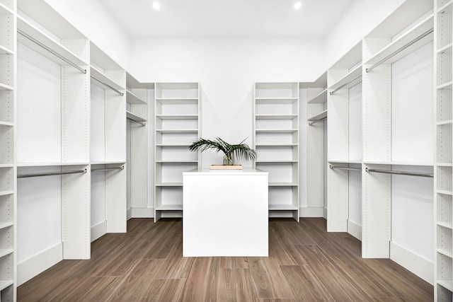 walk in closet featuring dark wood-style floors