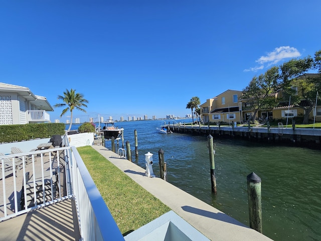 dock area with a water view