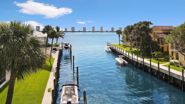 water view with a dock