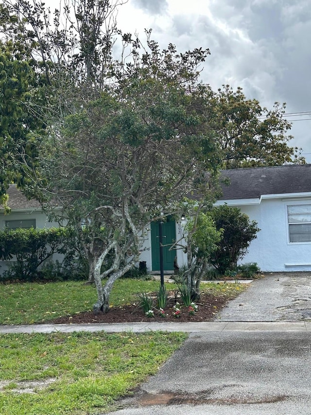 view of front of house with a shingled roof, a front yard, and stucco siding