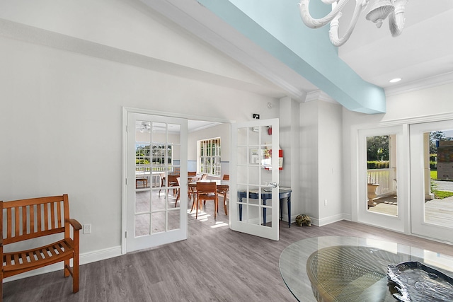 interior space with baseboards, wood finished floors, a wealth of natural light, and french doors