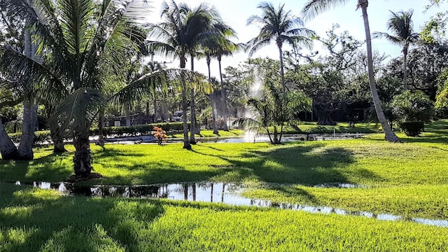 2424 N Federal Hwy Unit 106, Boynton Beach, FL 33435 - surrounding community with a yard and a water view
