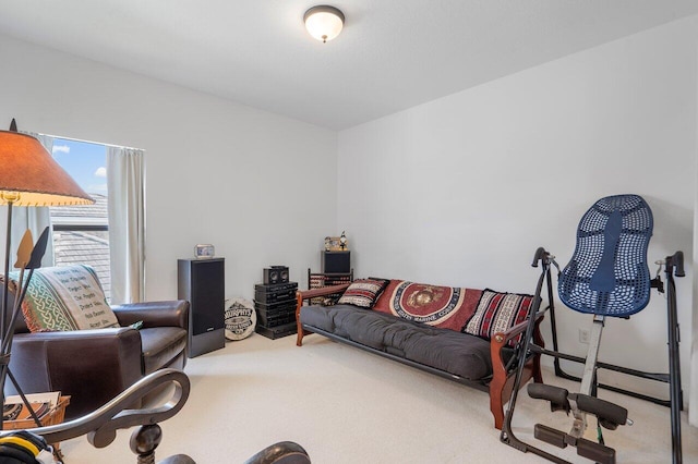 living room featuring carpet floors