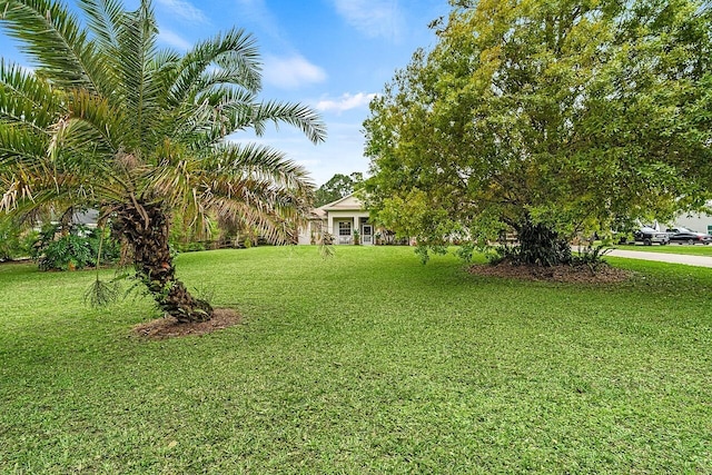 10617 Pine Cone Ln, Fort Pierce, FL 34945 - view of yard