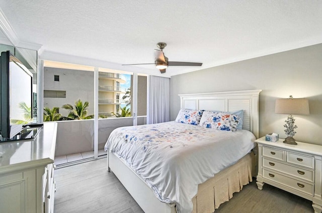 bedroom with multiple windows, light wood-type flooring, and access to exterior