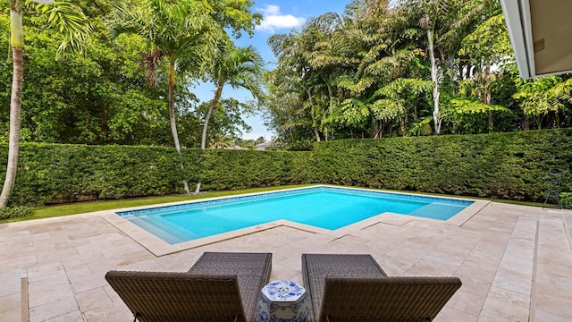 view of swimming pool with a fenced in pool, a patio area, and a fenced backyard