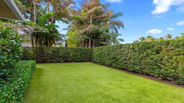 view of yard featuring a fenced backyard