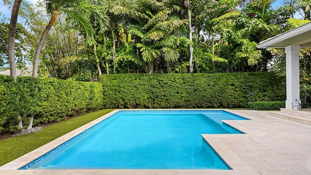 view of pool featuring a fenced in pool, a fenced backyard, and a patio