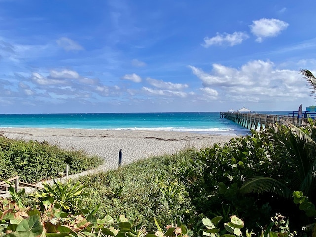 property view of water with a pier and a beach view