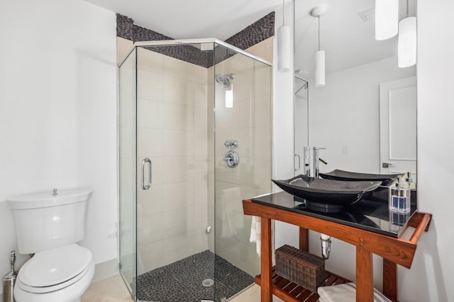 full bathroom featuring a sink, toilet, and a shower stall