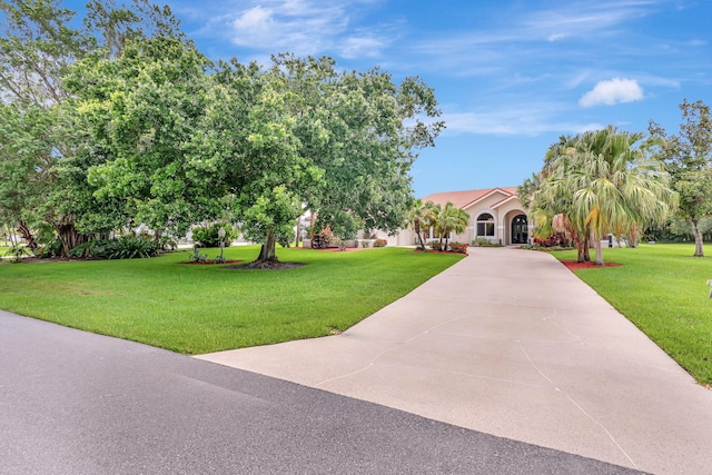 view of property hidden behind natural elements with a front yard and driveway