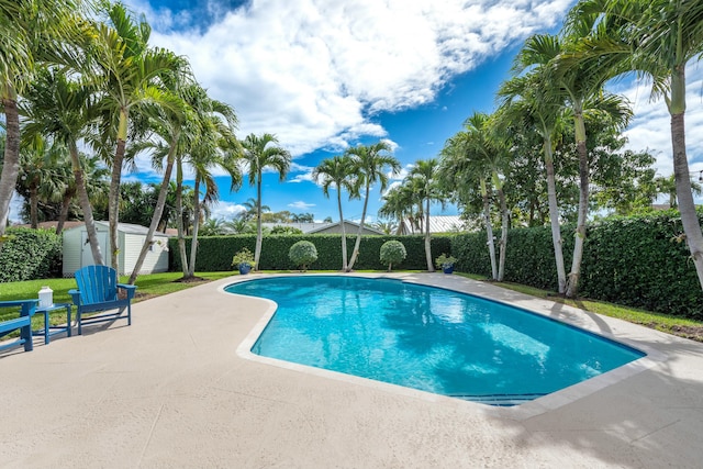 view of pool featuring a fenced in pool, an outbuilding, a storage unit, a patio area, and a fenced backyard