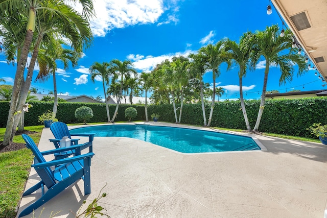 view of swimming pool with a fenced in pool, a patio area, and a fenced backyard