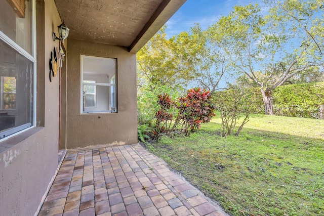 view of yard with a patio area