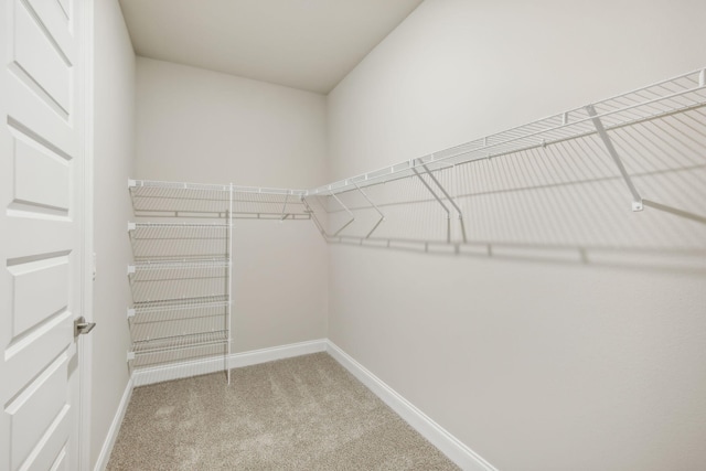walk in closet with light colored carpet