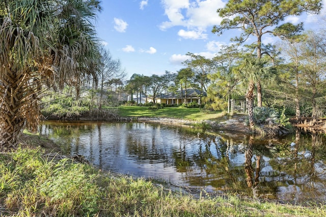 view of water feature