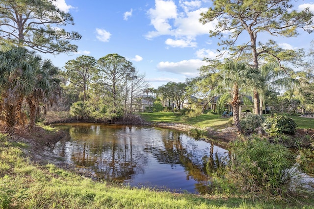 view of water feature