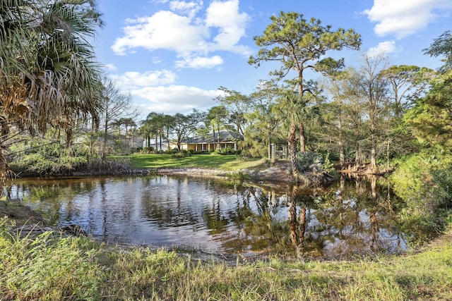 view of water feature